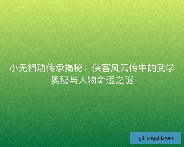 小无相功传承揭秘：侠客风云传中的武学奥秘与人物命运之谜