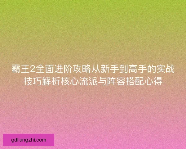 霸王2全面进阶攻略从新手到高手的实战技巧解析核心流派与阵容搭配心得