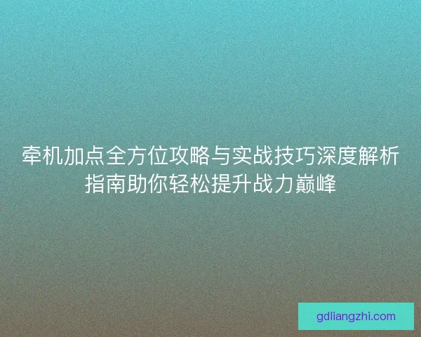 牵机加点全方位攻略与实战技巧深度解析指南助你轻松提升战力巅峰